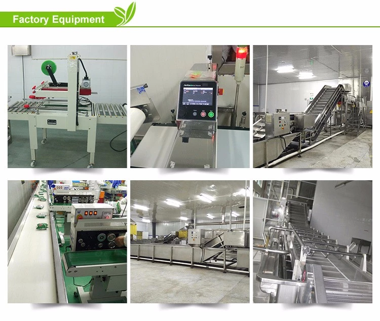 XMSD dried black fungus processing and inspection equipment XMSD dried black fungus processing and inspection equipment