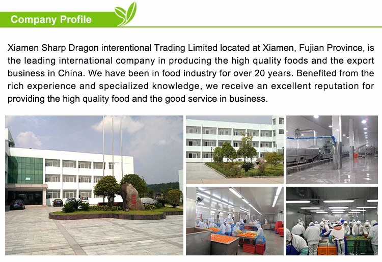 XMSDfood frozen peach slices export supply overview