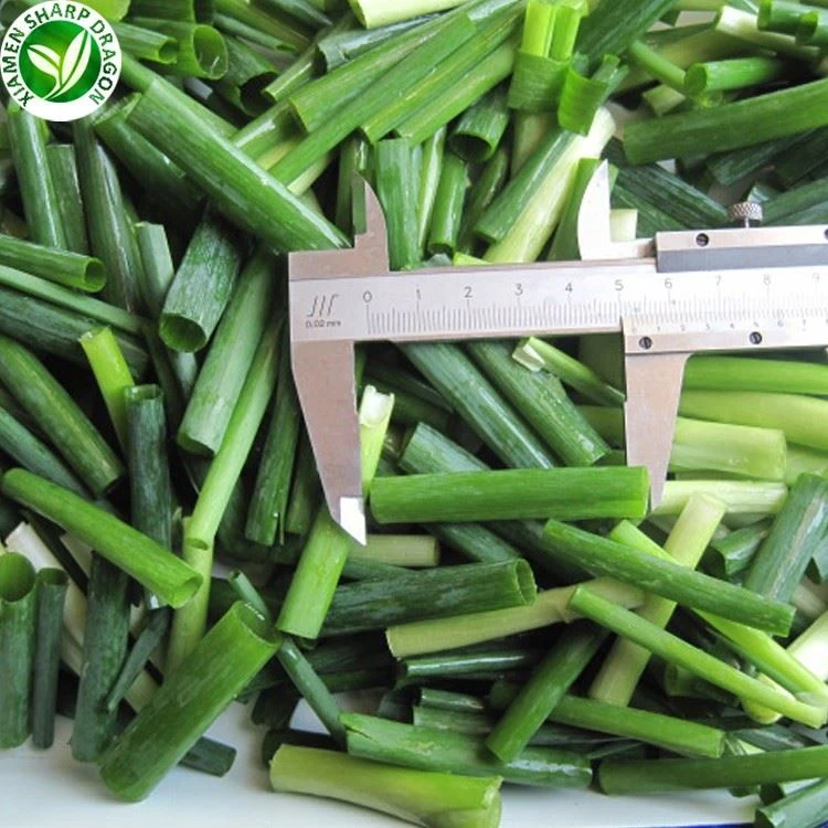 Scallion 