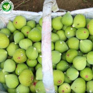 Продам заморожений інжир
