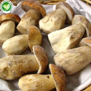 Оптовий продаж заморожених грибів